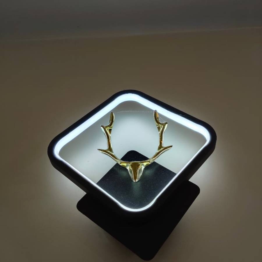 Om Palace Inn Varanasi